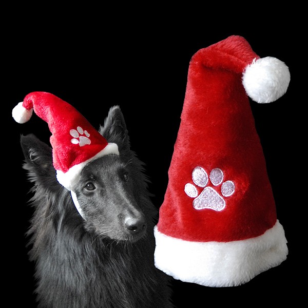 Weihnachtsmütze "Haustier Maxi"